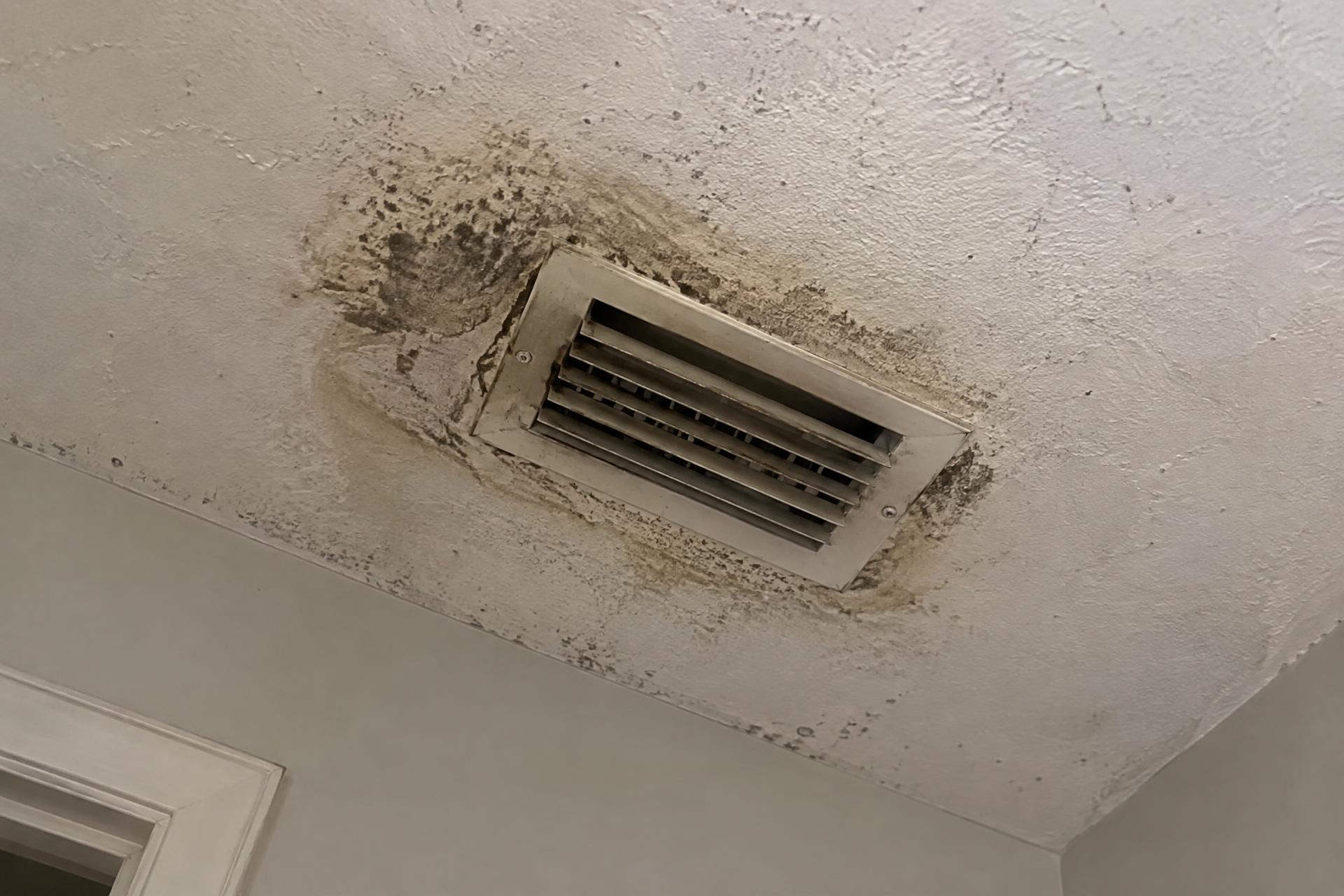 Mold growth spreading around a ceiling air vent
